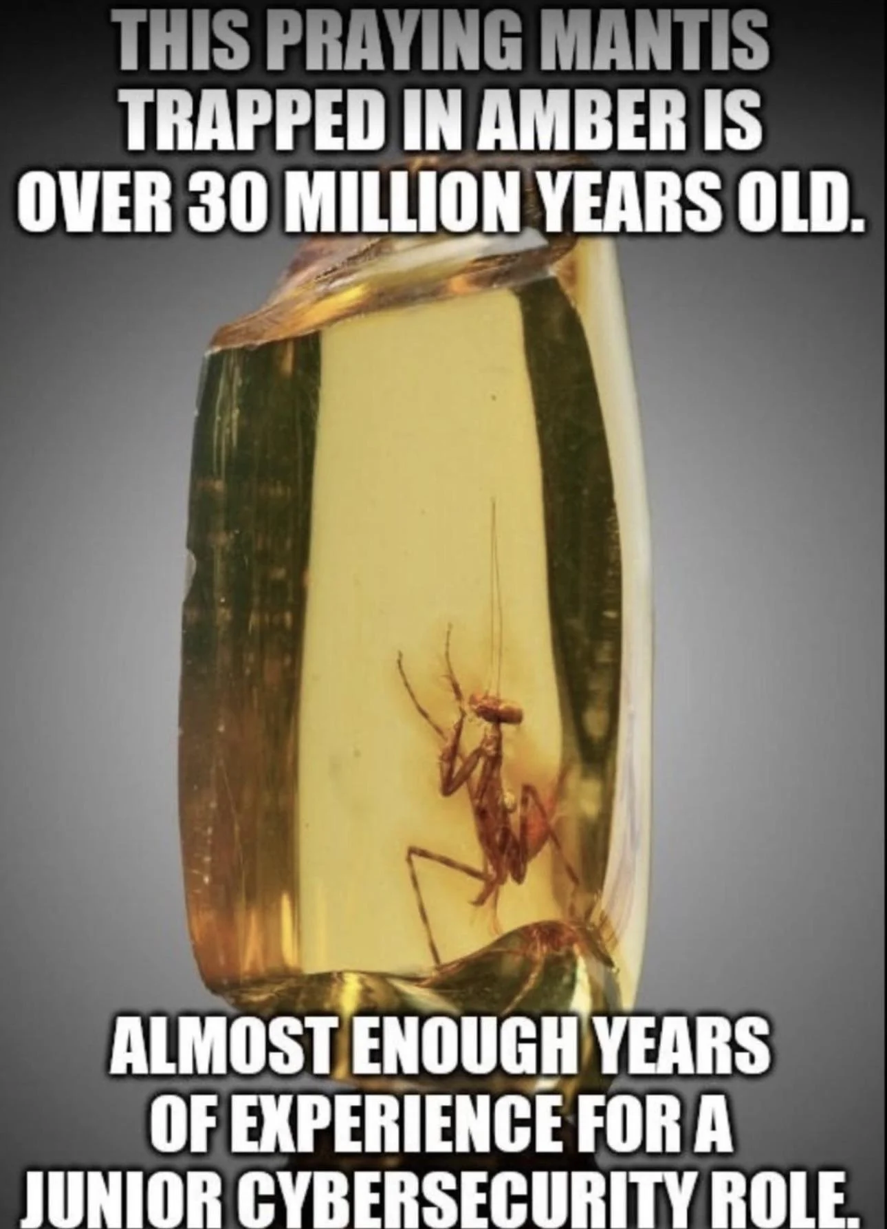 Cybersecurity meme 34