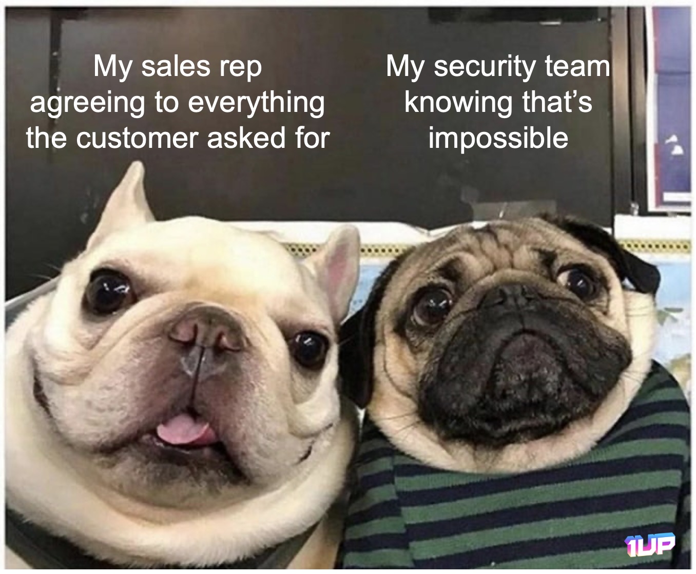 Cybersecurity meme 38